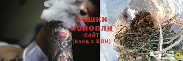 хмурый Аркадак