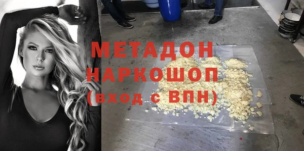 хмурый Аркадак