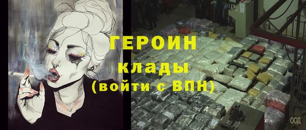 хмурый Аркадак