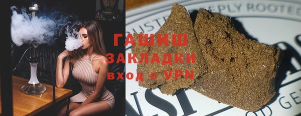 хмурый Аркадак