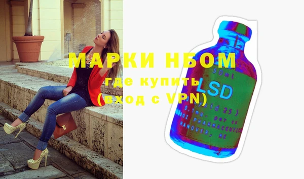 хмурый Аркадак