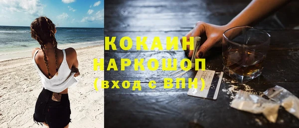 шишки Арсеньев