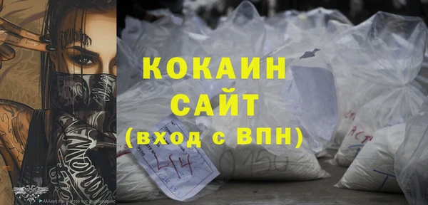 сатива Новозыбков