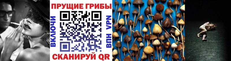 Псилоцибиновые грибы Psilocybine cubensis  где купить наркотик  Соль-Илецк 